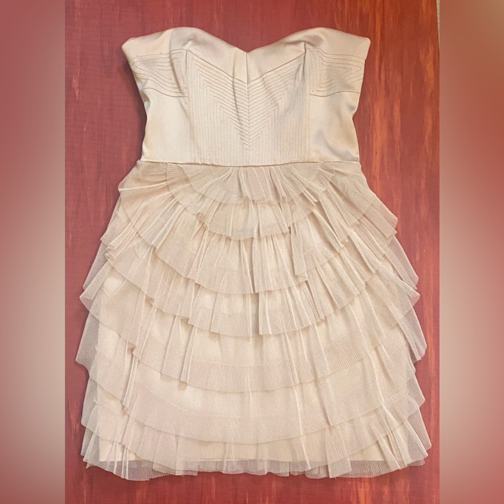 BCBG MaxAzria Blush Champagne Nude Tulle Mini Dress - XS / S